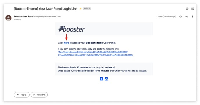 Screenshot of the User Panel Email Login Link