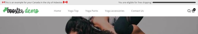 Header Style settings 1