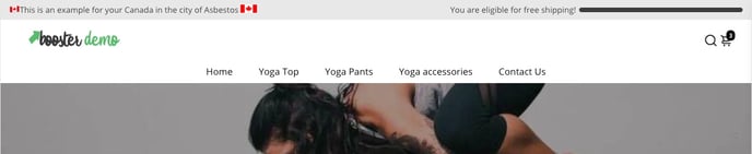 Header Style settings 2